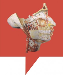 Mcor_Arke_3d_printer_model_skull